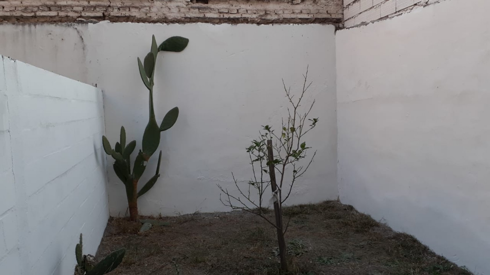 Monoambiente Nueva Cordoba con Patio A Metros Del Pocito 